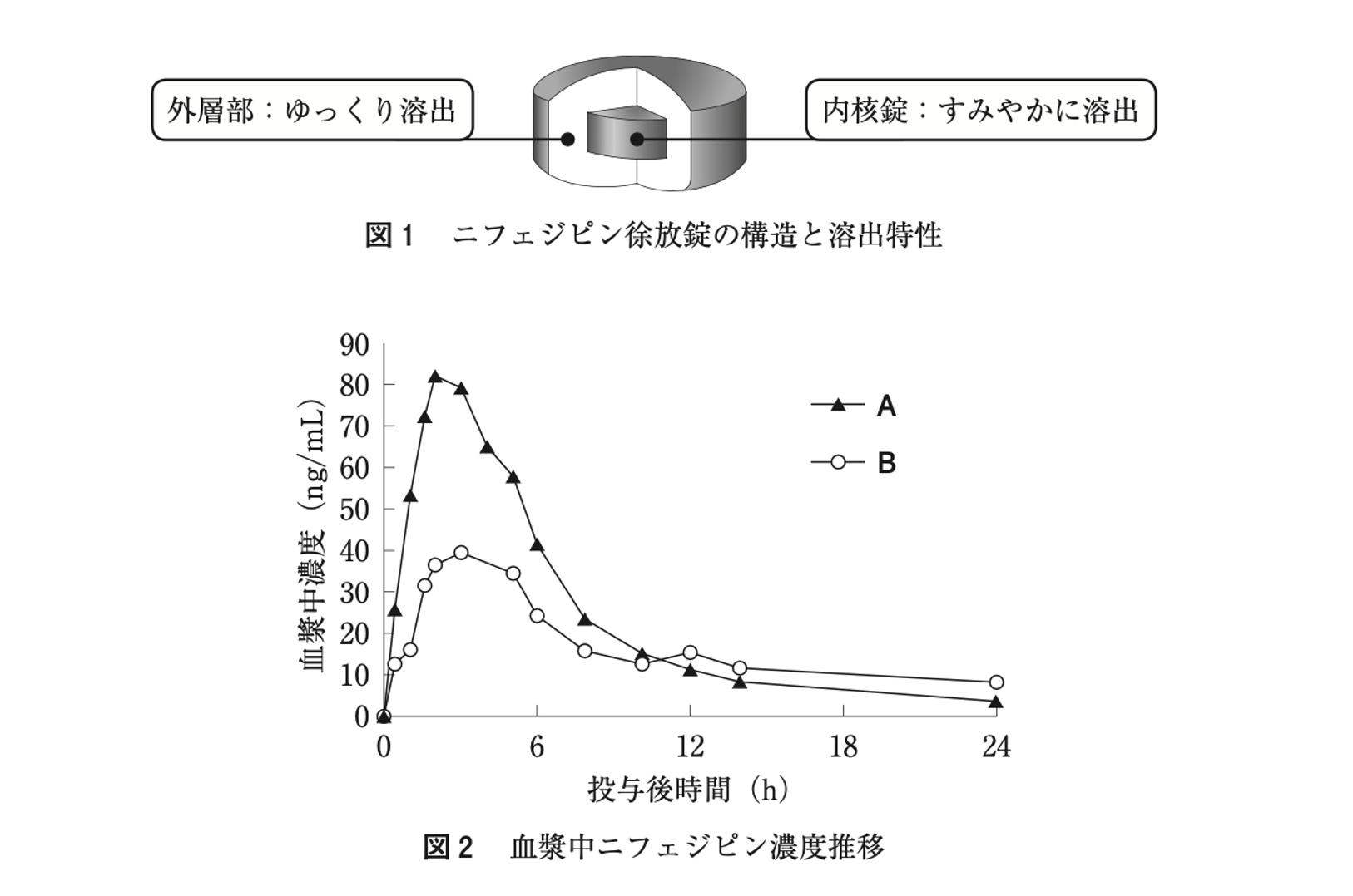 解説画像